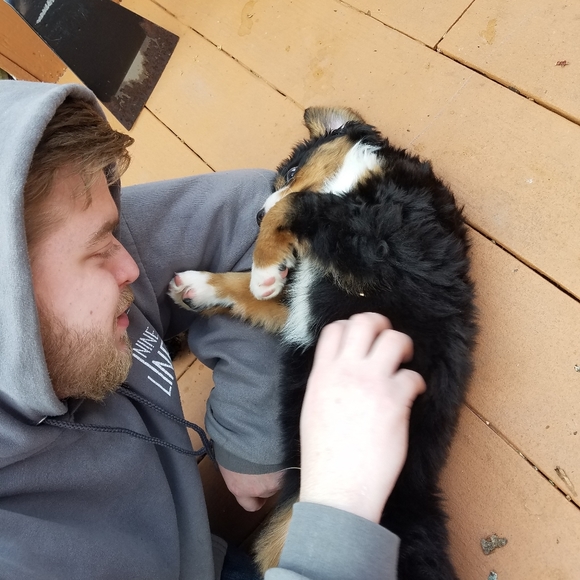 Meet your Posher, Natalie - Picture 3 of 5